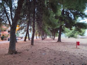 Floridia. Area attrezzata alla Pineta del Liceo. Proposte al sindaco Carianni da Natura Sicula per salvaguardare alberi e fauna