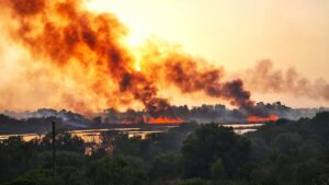 Incendio Riserva Ciane Saline, le reazioni del giorno dopo. Ambientalisti e Verdi contro il Libero Consorzio Comunale